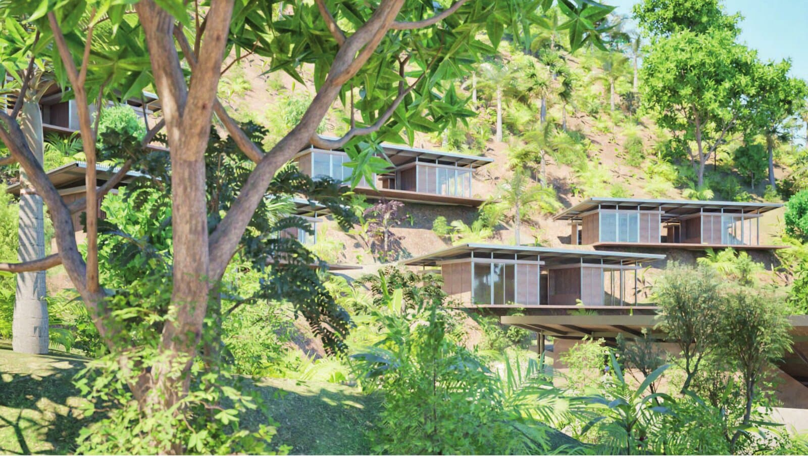Off-Grid Living in the Dominican Republic: What's Actually Realistic