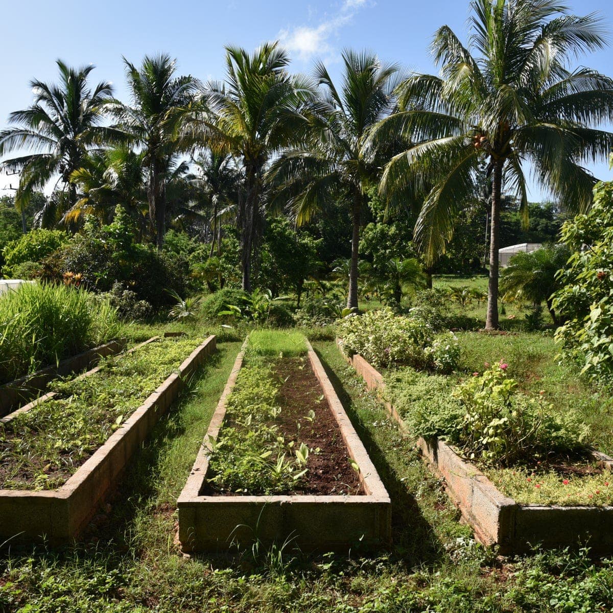 What is Slow Living? A Caribbean Perspective