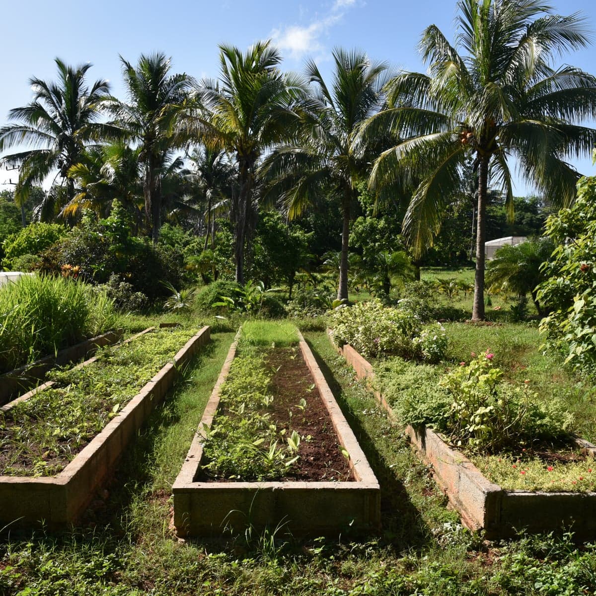 Farm to Table Lifestyle