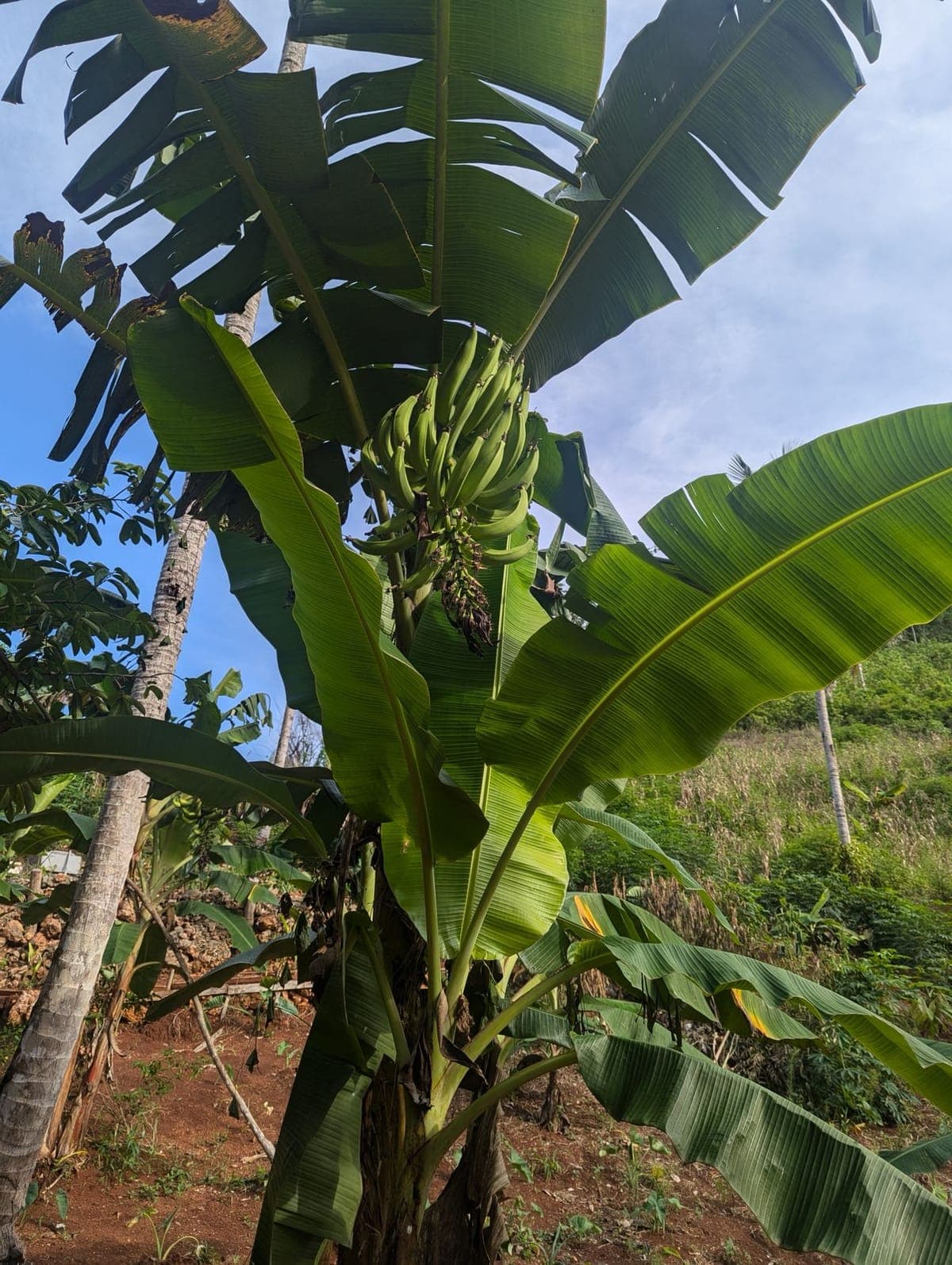 Property View 3