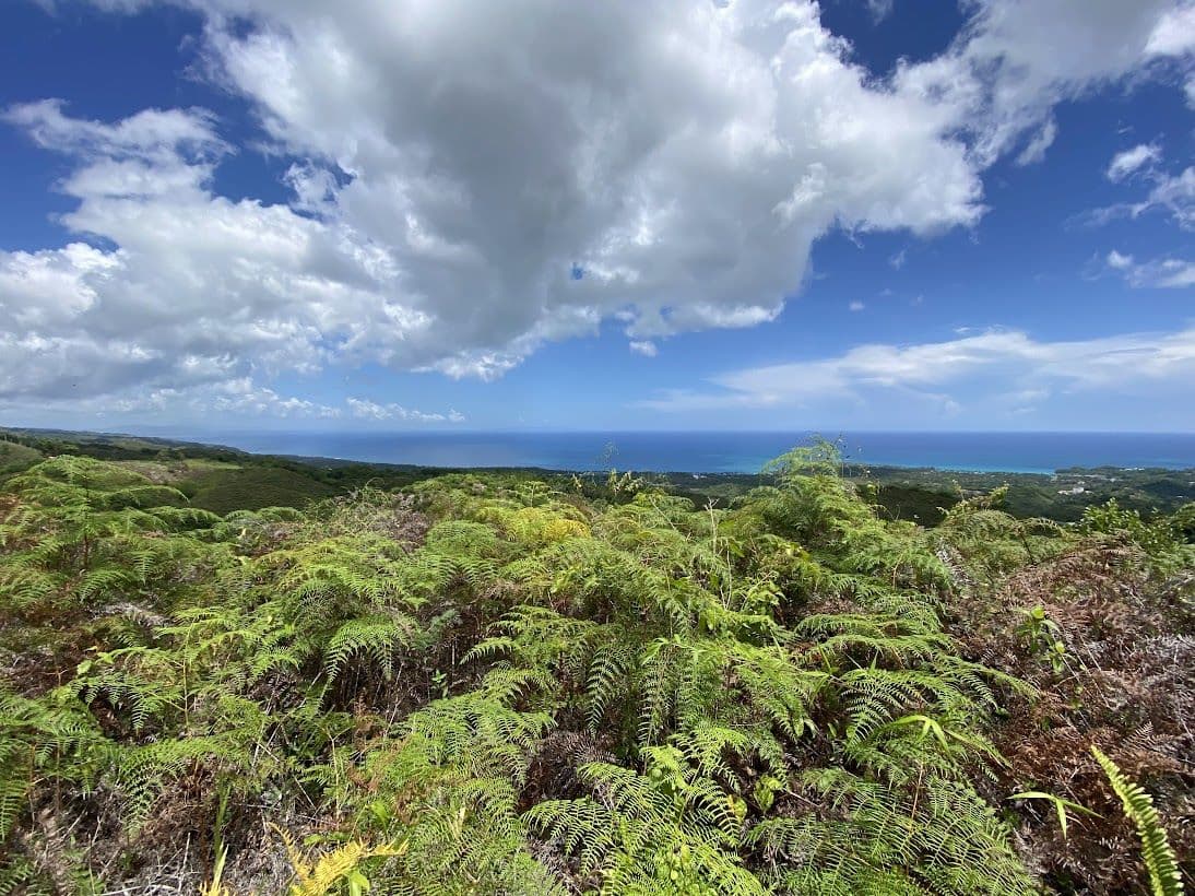 Sienna Land Coastal View