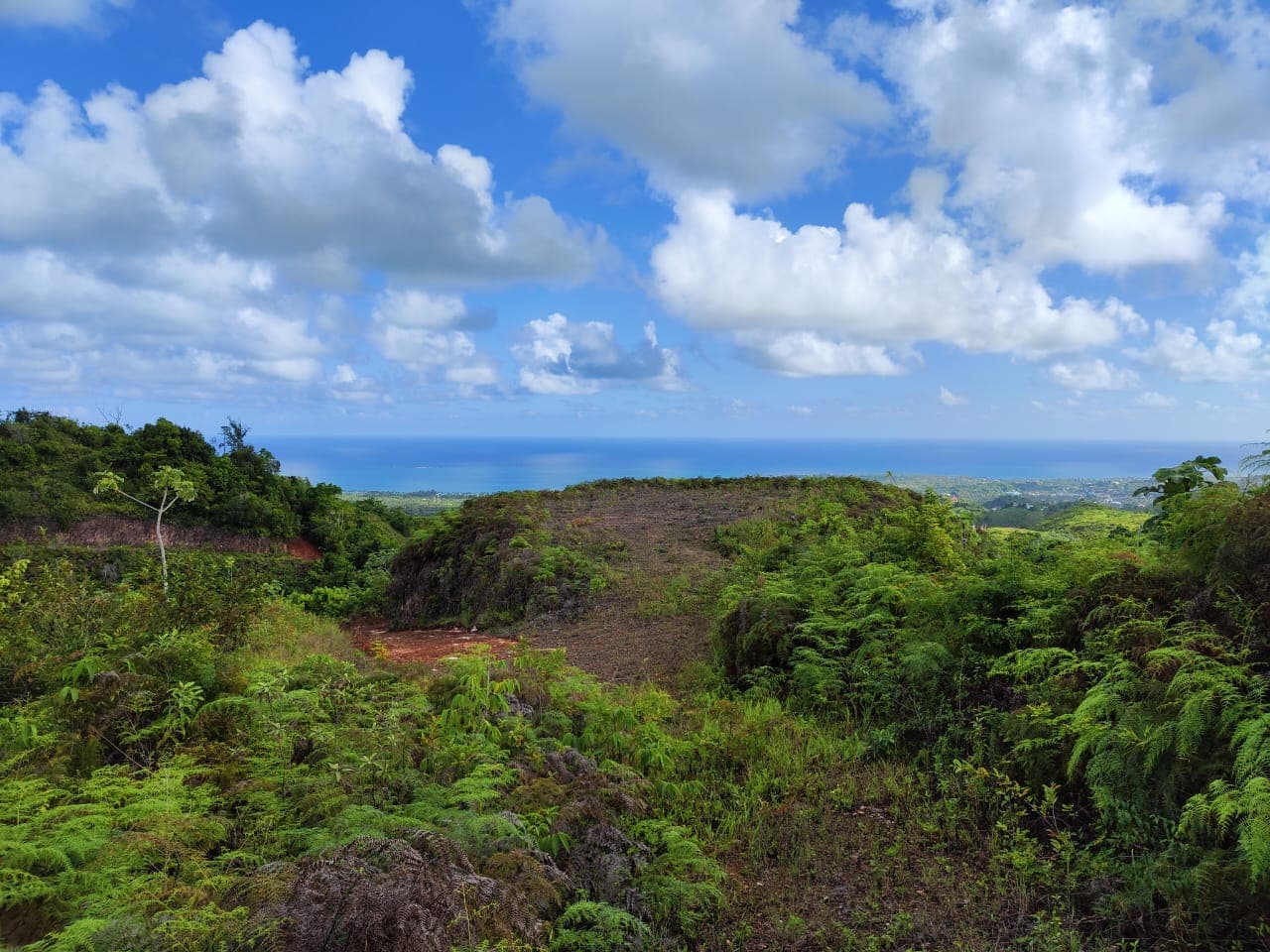 Sienna Land Development