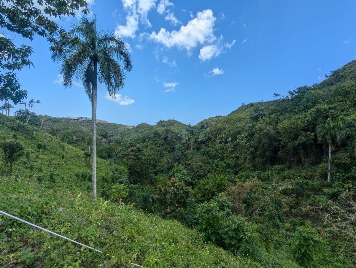 Property View 2