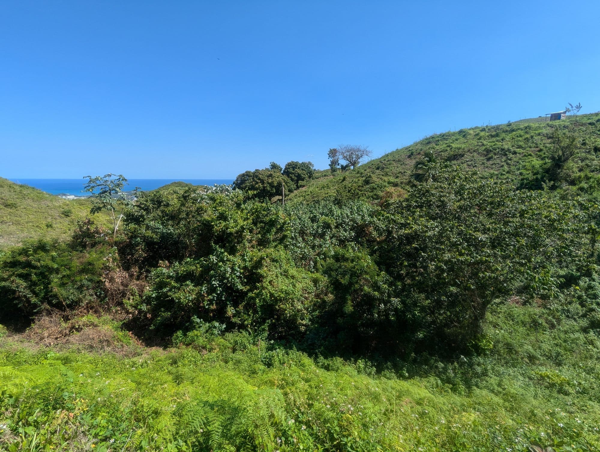 Terrain n°14