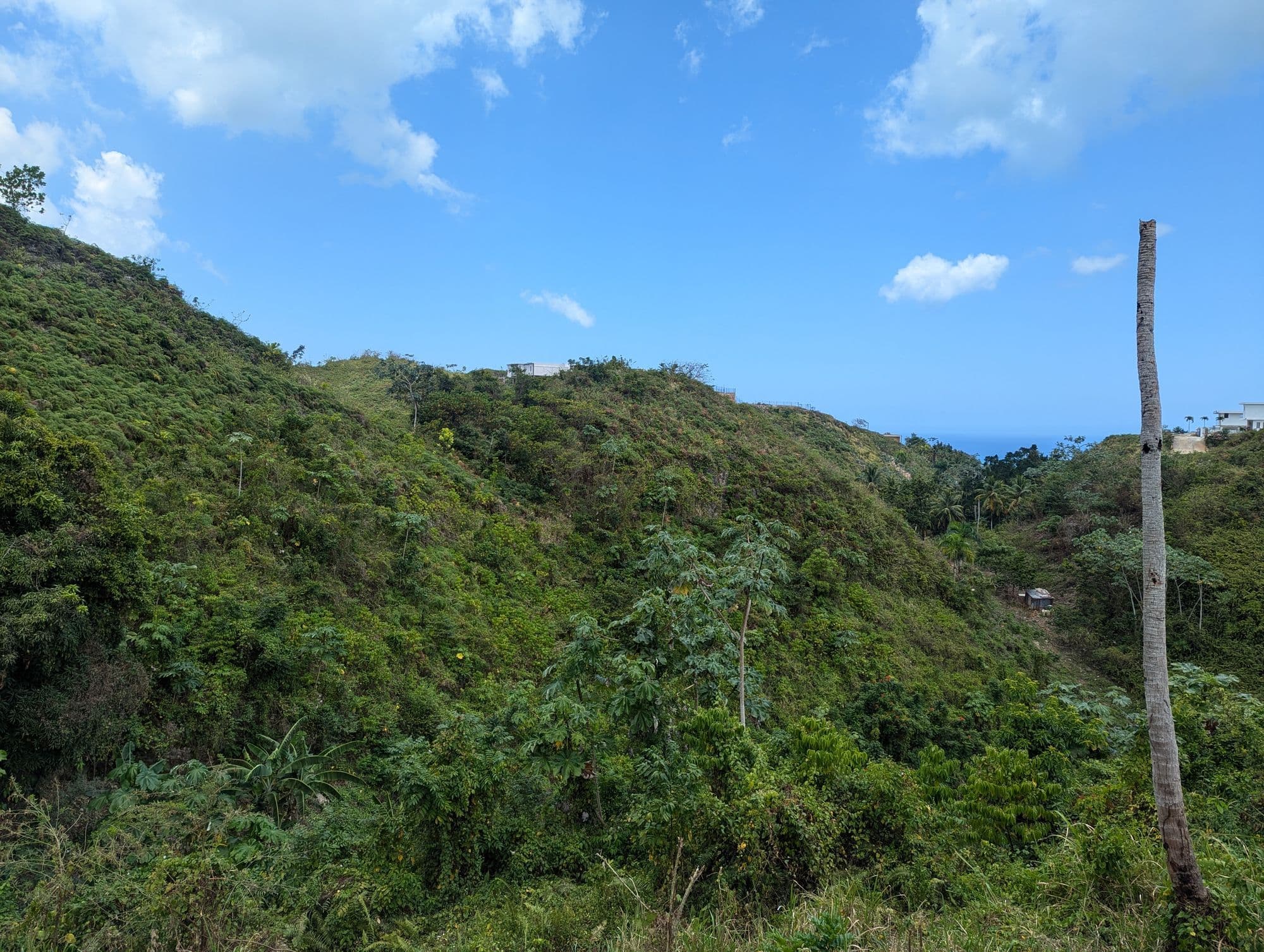 Sienna Terrenas Lot 10 - 2 bedroom villa option with Ocean Standard view, 1,145 sqm