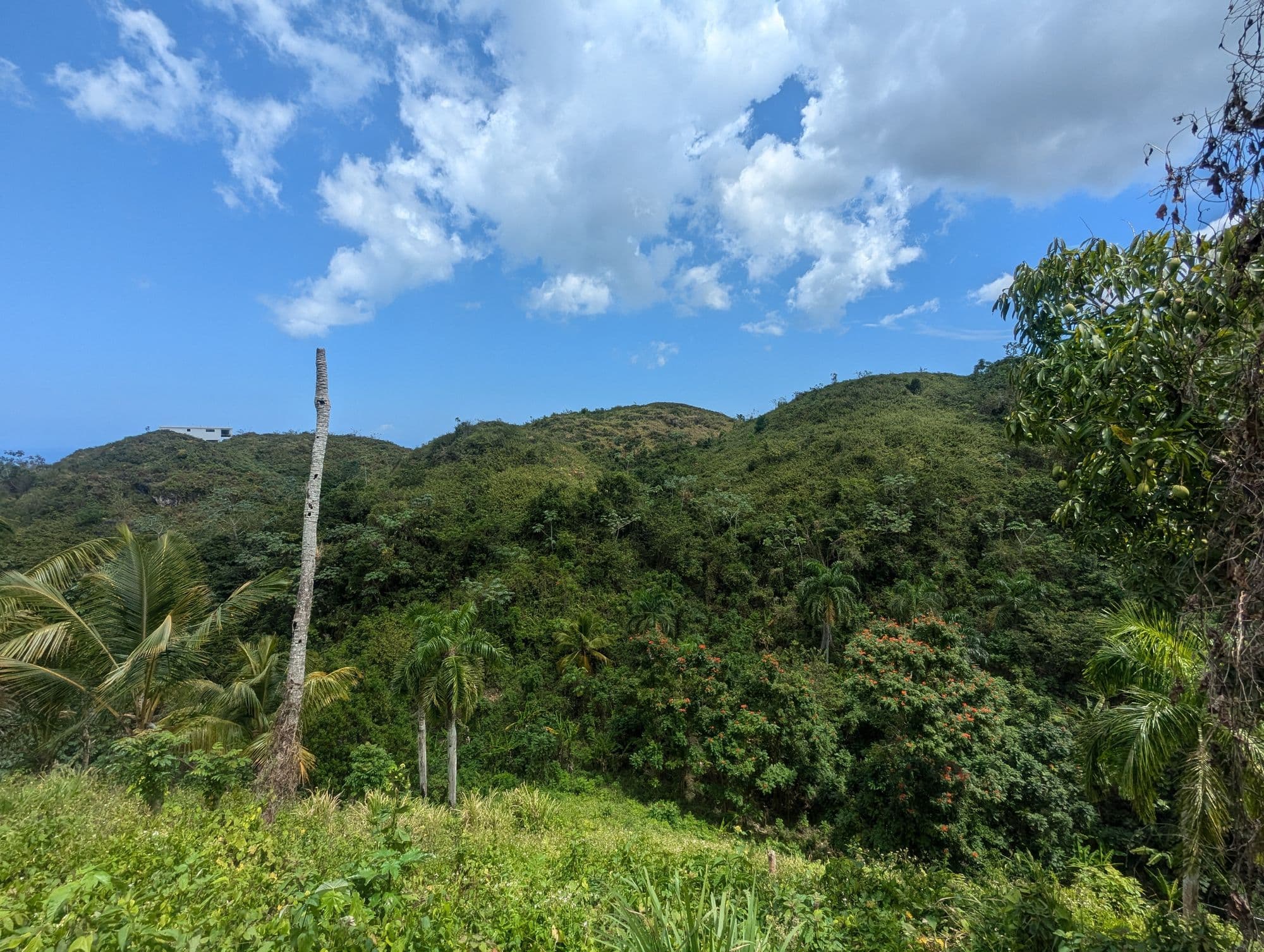 Sienna Terrenas Lot 12 - 4 bedroom villa option with Hills Discount view, 7,131 sqm