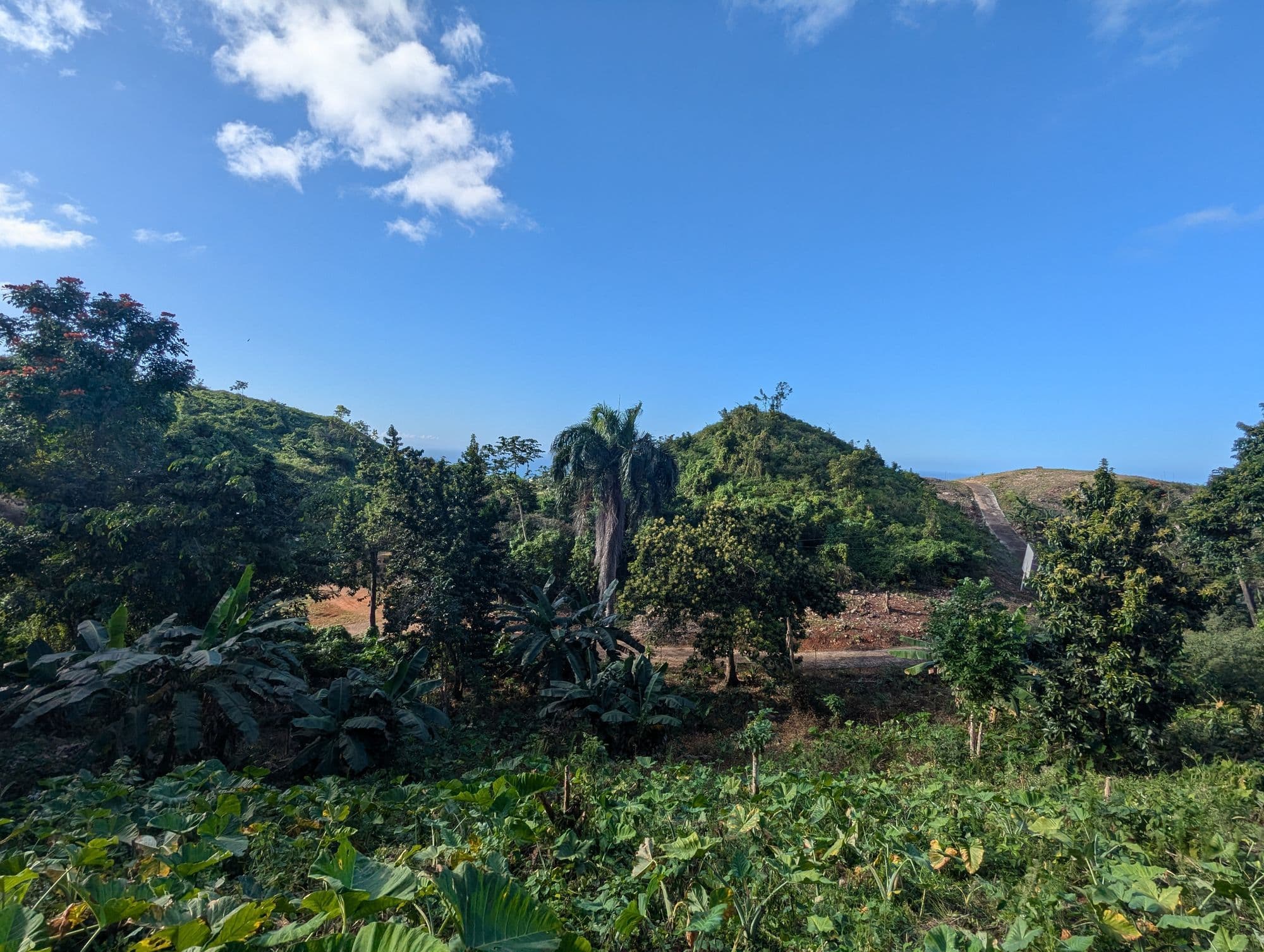 Sienna Terrenas Lot 26 - 2 bedroom villa option with Hills Discount view, 2,367 sqm