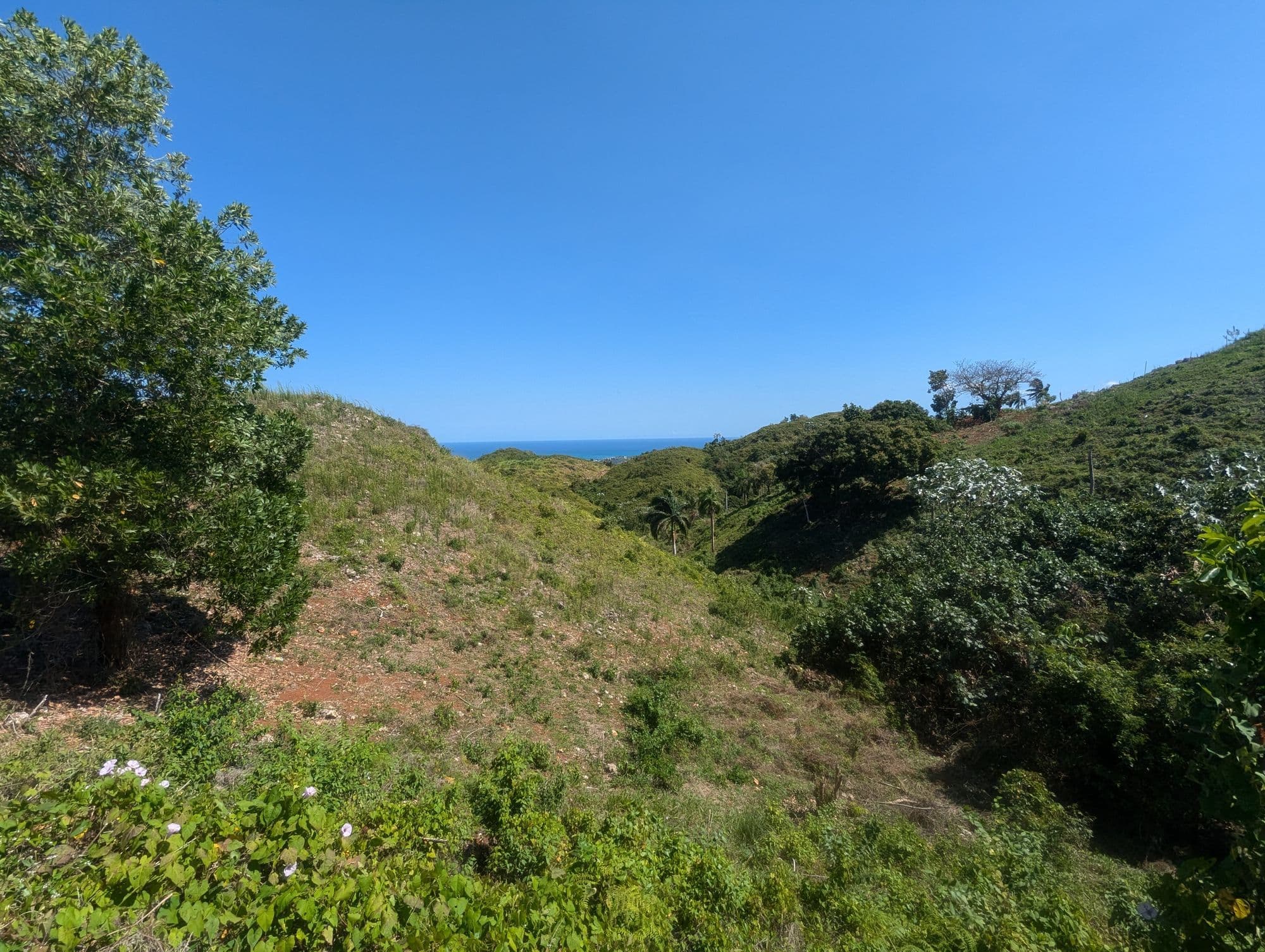 Sienna Terrenas Lot 6 - 3 bedroom villa option with Ocean Standard view, 1,033 sqm